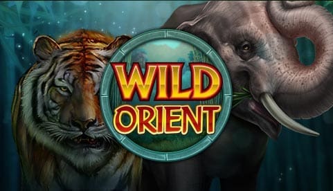 Discover Riches in the Wild with Wild Orient Slot Game
